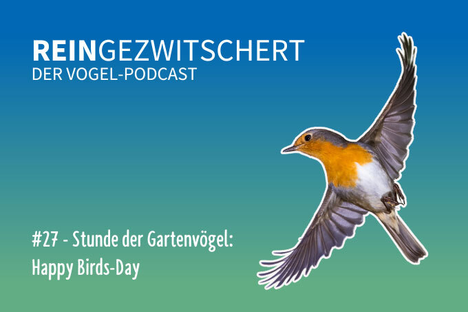 Der Podcast für alle, die auf Vögel fliegen
