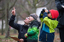 Stunde der Wintervögel - Foto: Frank Derer