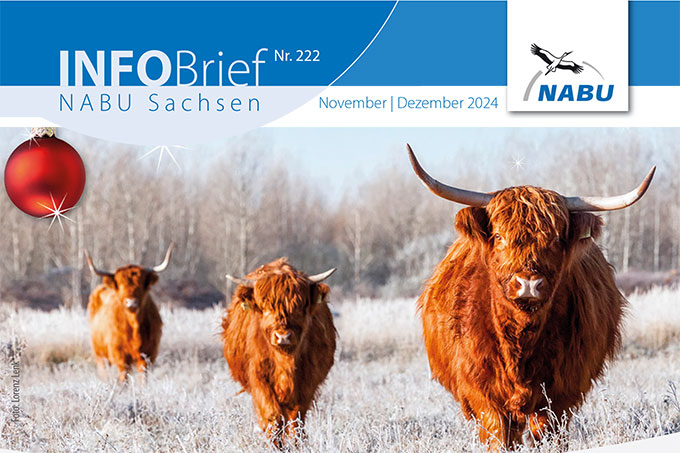 NABU Infobrief 222