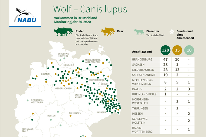 Wölfe in Deutschland - NABU