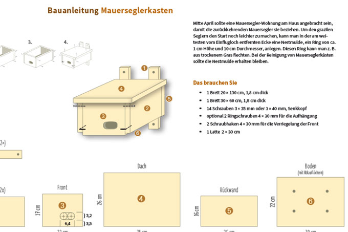 Ausschnitt aus der Bauanleitung für einen Mauersegler-Nistkasten - Gestaltung: Christine Kuchem