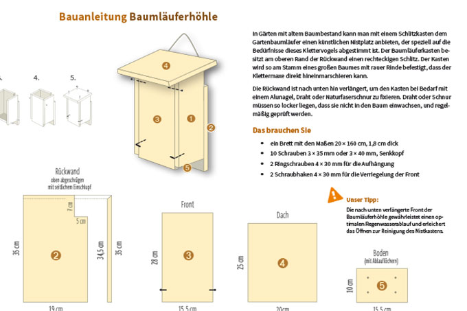 Ausschnitt aus der Bauanleitung für eine Baumläuferhöhle - Gestaltung: Christine Kuchem