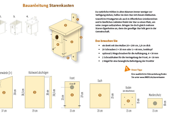 Ausschnitt aus der Bauanleitung für einen Starenkasten