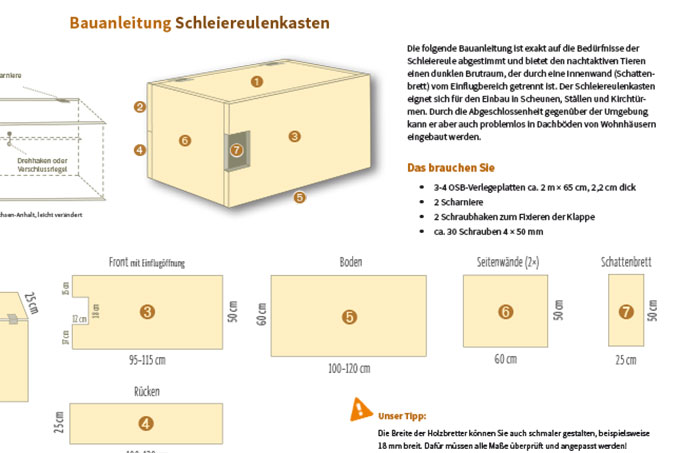 Ausschnitt aus der Bauanleitung für einen Schleiereulenkasten