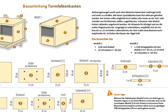 Ausschnitt aus der Bauanleitung für einen Turmfalkenkasten