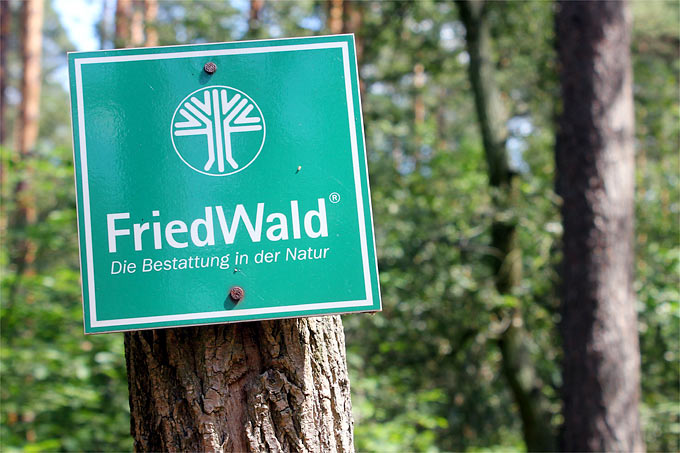 Friedwald - Foto: Helge May