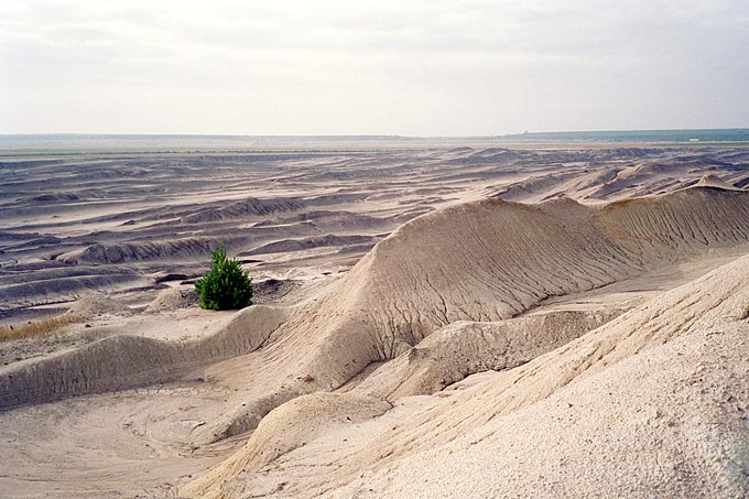 Bergbaufolgelandschaft Grünhaus Innenkippe - Foto: Stefan Röhrscheid