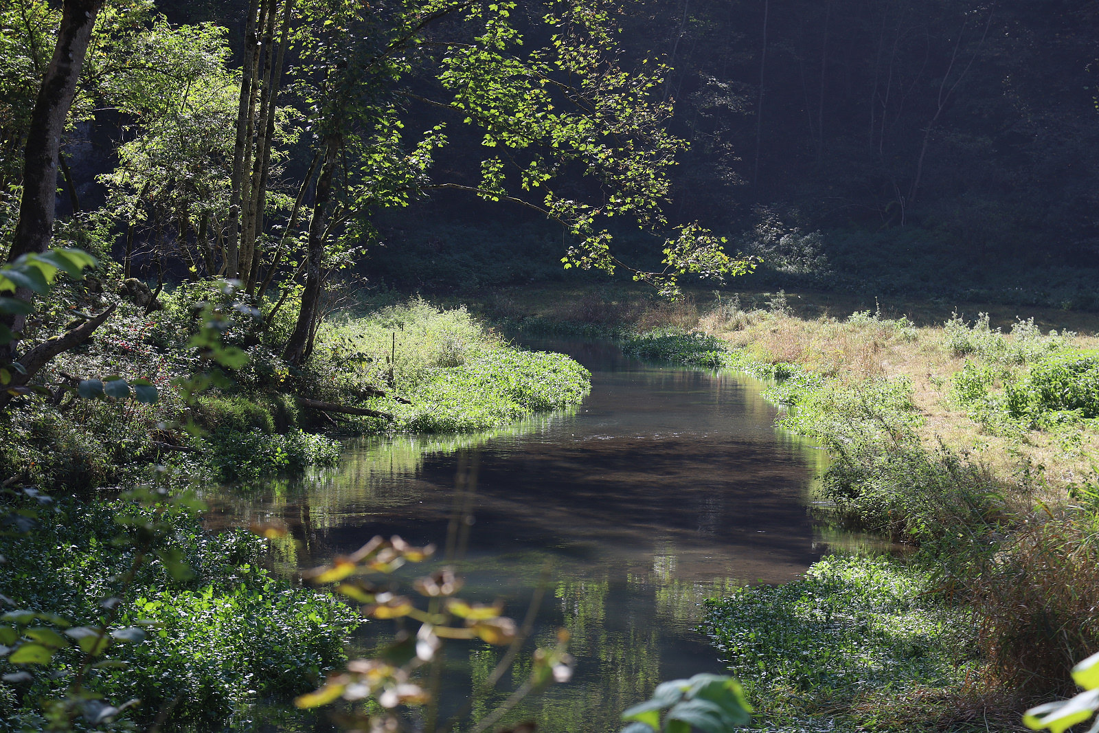 Bachlauf