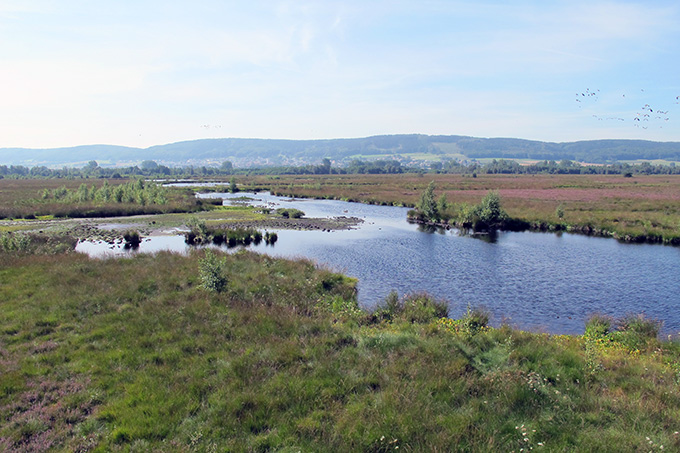 Großes Torfmoor - Foto: F. Grützmacher