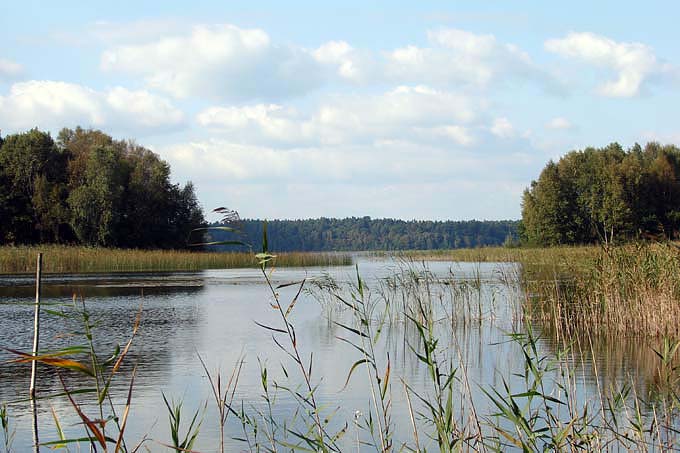 Wittwesee im Naturparadies Stechlinseegebiet - Foto: Frauke Hennek