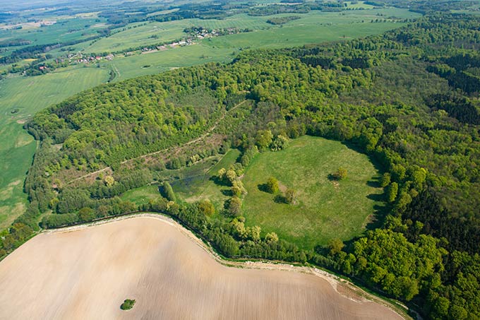 Blick auf das Griever Holz - Foto: Klemens Karkow