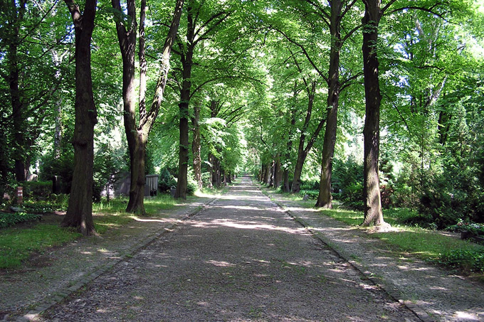 Nordfriedhof Pankow - Foto: Katrin Koch