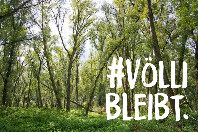 Historischer Erfolg: Der Vollhöfner Wald wird Naturschutzgebiet - Foto: Thomas Dröse