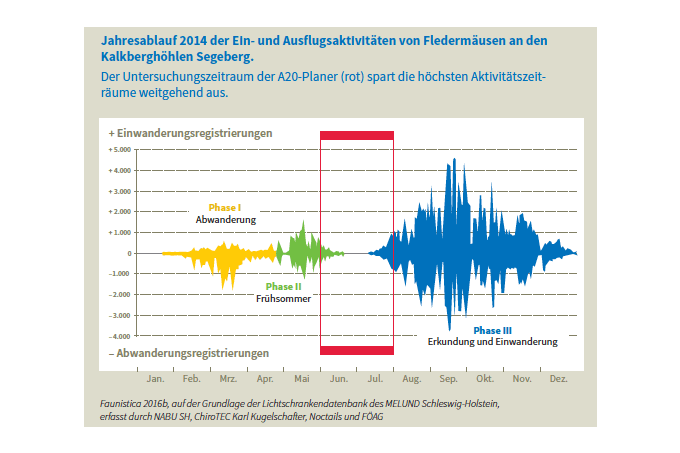 Erhebungsmängel schätzen 2013 die Bedeutung der Autobahn für rund 30.000 Fledermäuse falsch ein. Erst im Gerichtsverfahren wird der gravierende Fehler eingestanden und es wird offensichtlich, dass durch die Wahl des betrachteten Zeitraums keine realitätsnahe Abbildung der Umweltbelange erfolgt war. – Quelle: Faunistica 2016b, auf Grundlage der Lichtschrankendatenbank des MELUND Schleswig-Holstein, erfasst durch NABU SH, ChiroTEC Karl Kugelschafter, Noctails und FÖAG