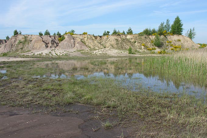 Vor zehn Jahren war die Abraumhalde noch gut in der Landschaft erkennbar - Foto: Wulf Rheinwald