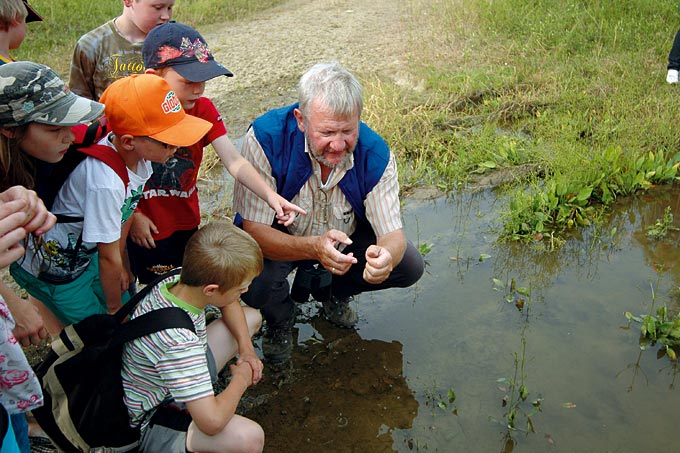 Leben in jedem Tümpel - Foto: H. Strunk