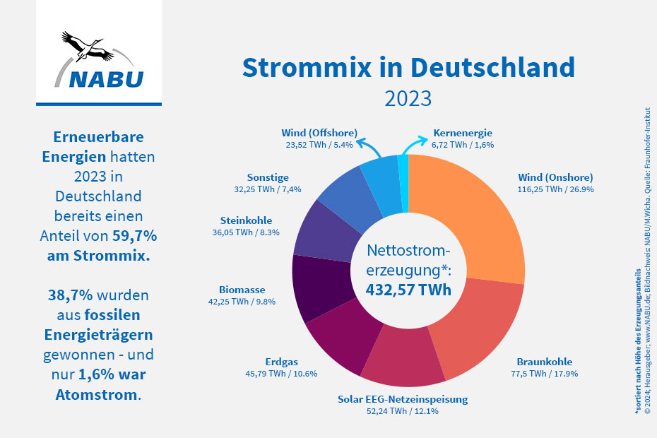 Strommix in Deutschland 2023 - Grafik: NABU