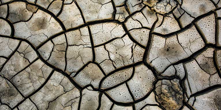 Ausgetrocknete Böden werden zunehmend zum Problem für die Landwirtschaft - Foto: NABU/Jan Piecha