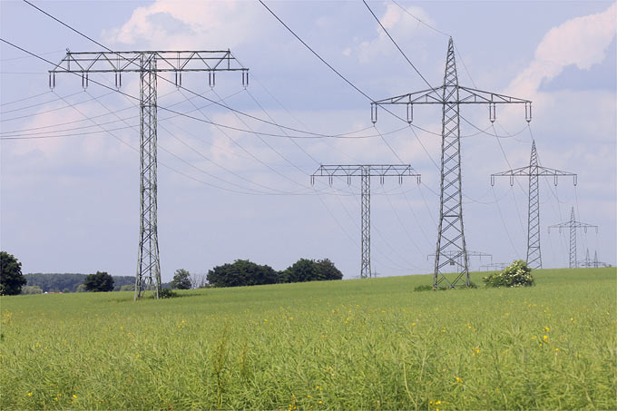 Bei der Standortsuche sollte es immer um Naturverträglichkeit gehen - Foto: Helge May