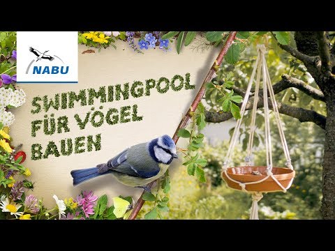 Vogeltränke oder Teich: Wasserangebot für Vögel - DIY ...